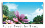 Forest Tweet for Sharp